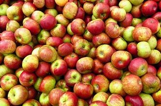 Apple étrend a fogyáshoz